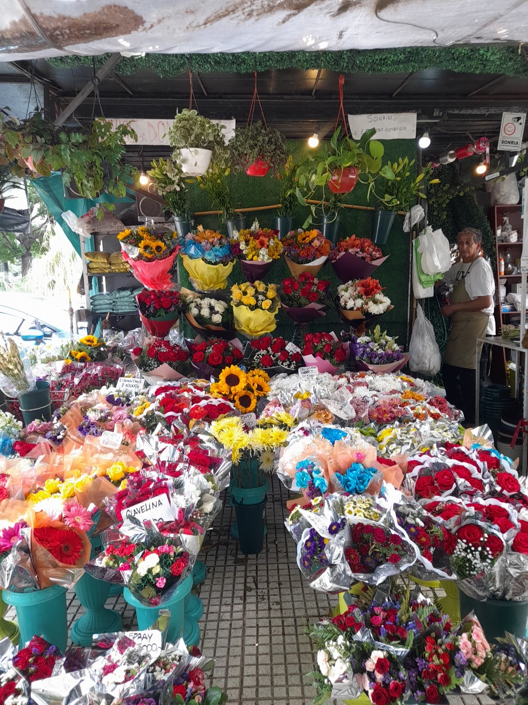 Bouquets of roses